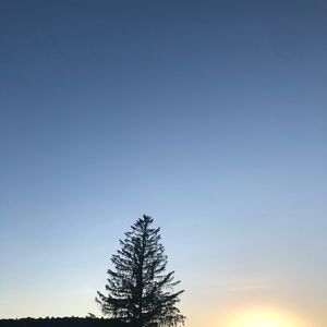 Meet your Posher, Karsen